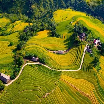 YVC- Sống cùng Tây Bắc – Gieo mầm yêu thương