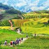 Chương trình “Tuổi trẻ vì cộng đồng”: Khơi dậy trách nhiệm xã hội từ trải nghiệm thực tế