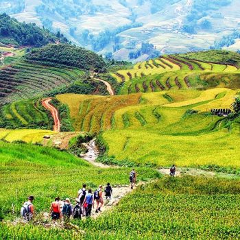 Chương trình “Tuổi trẻ vì cộng đồng”: Khơi dậy trách nhiệm xã hội từ trải nghiệm thực tế